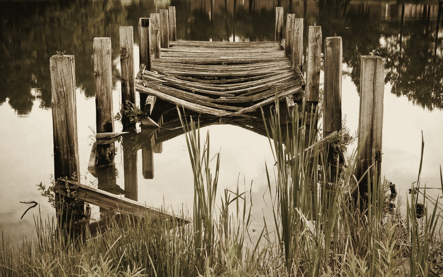 A timber walkway threading through tall reeds toward water, dissolving into mist.