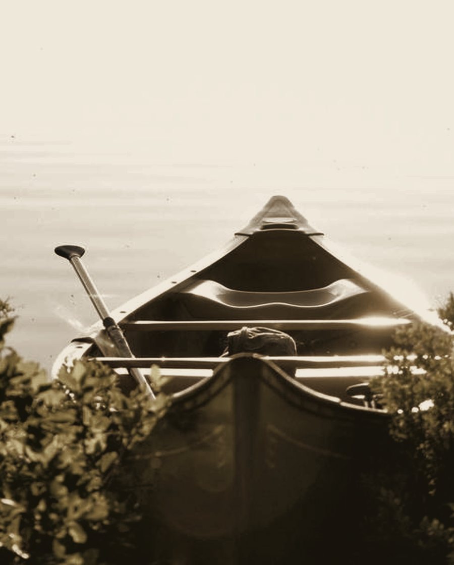 A tiled pavilion roof emerging from morning mist in a wooded clearing.